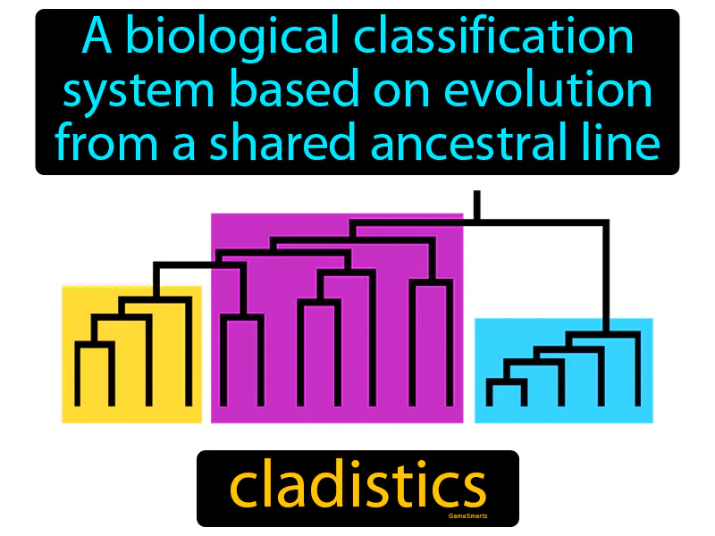 Cladistics Definition Cladistics Definition