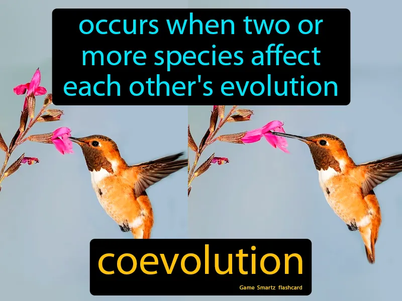Coevolution Definition Coevolution Definition