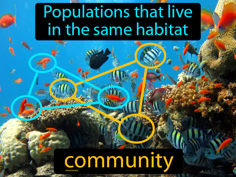Community Definition Community Definition