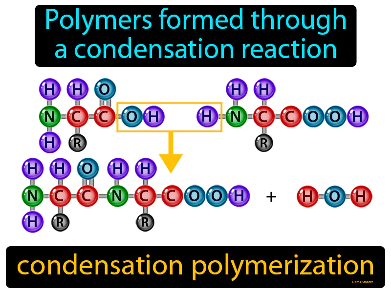 Condensation Polymerization Definition Condensation Polymerization Definition