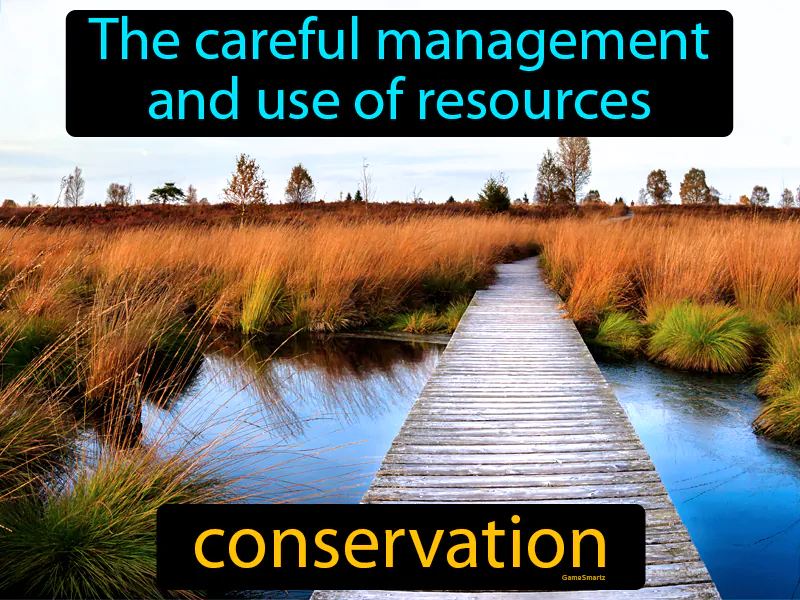 Conservation Definition Conservation Definition
