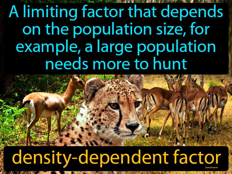 Density Dependent Factor Definition Density Dependent Factor Definition