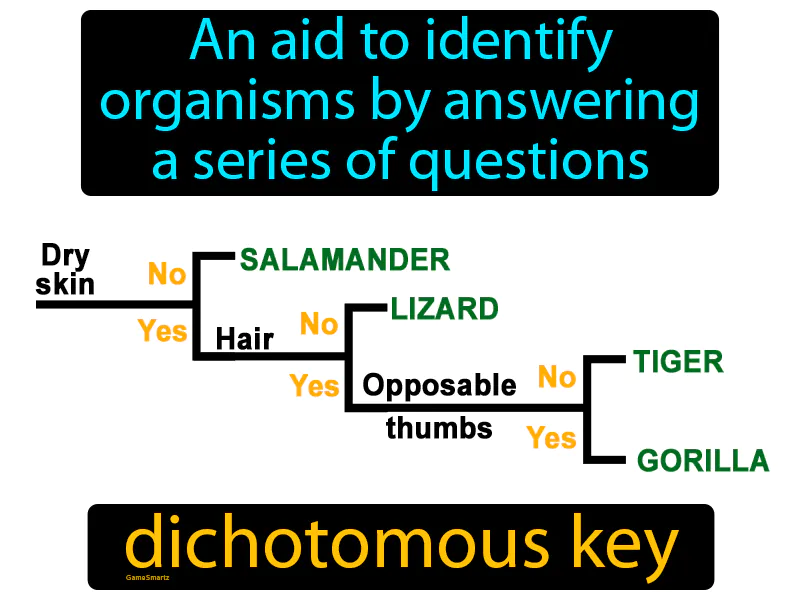 Dichotomous Key Definition Dichotomous Key Definition
