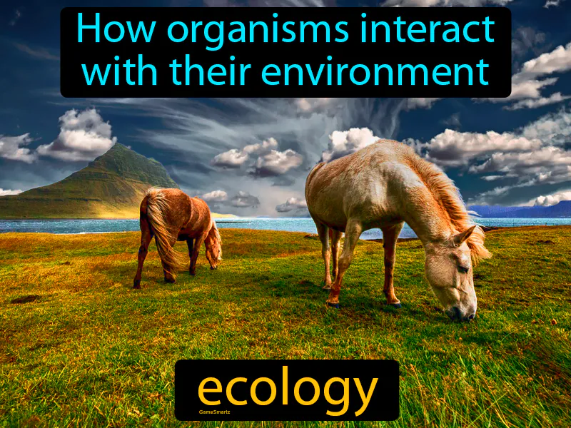 Ecology Definition Ecology Definition