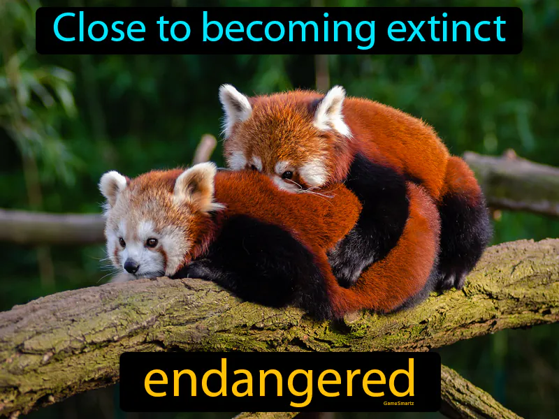 Endangered Definition Endangered Definition