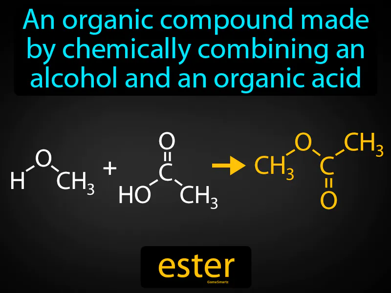 Ester Definition Ester Definition