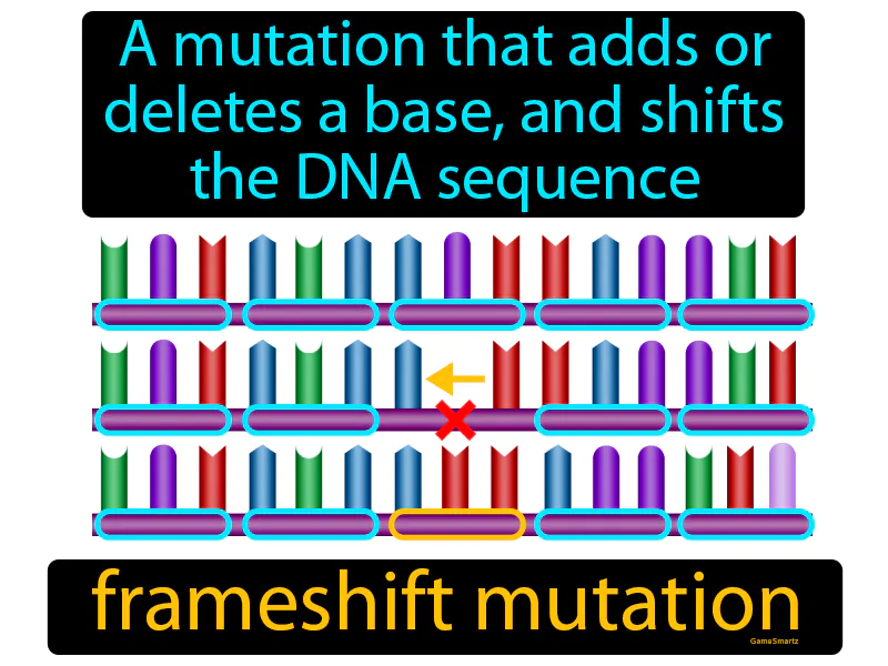 Frameshift Mutation Definition Frameshift Mutation Definition