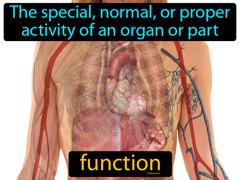Function Definition