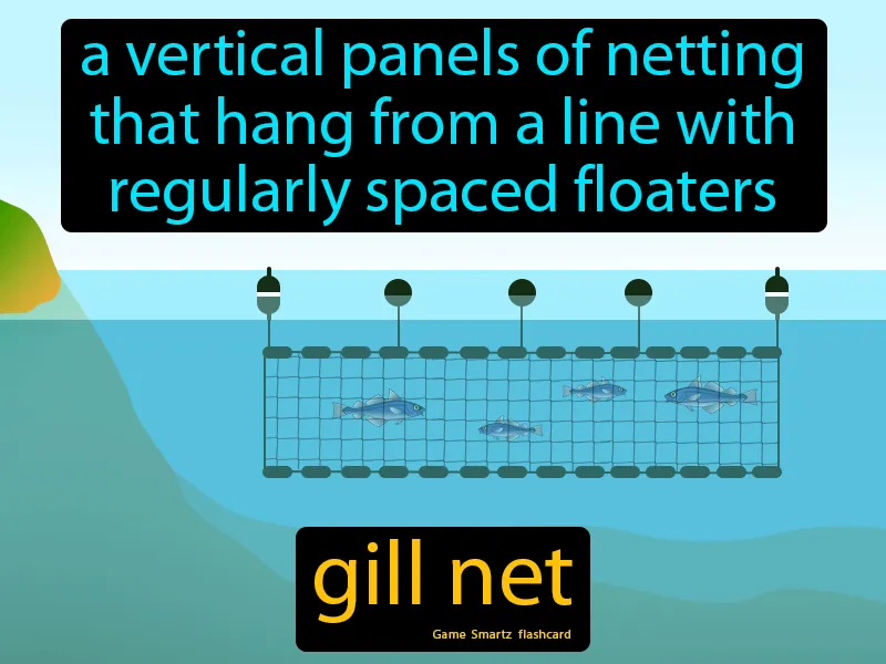 Gill Net Definition Gill Net Definition