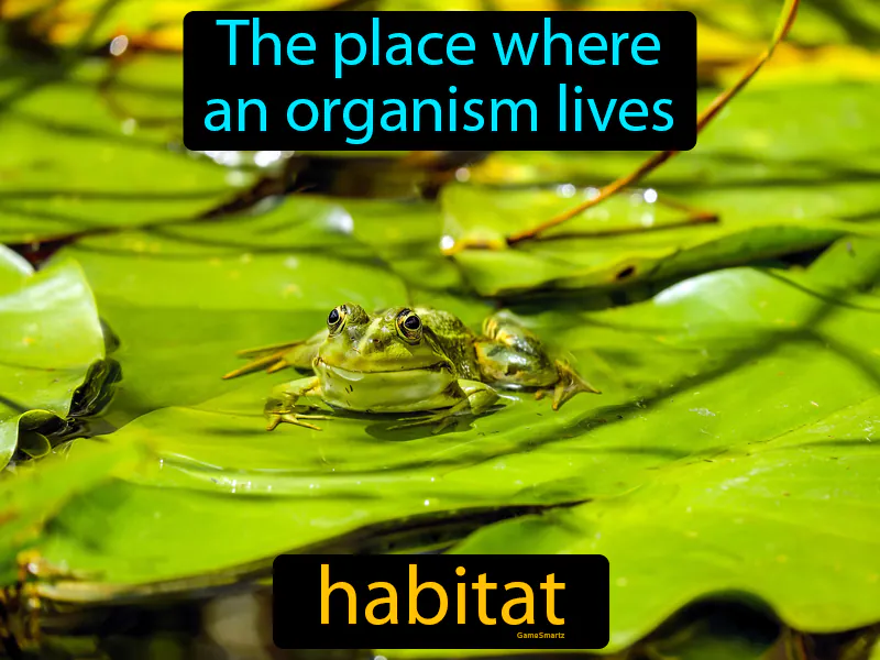 Habitat Definition Habitat Definition