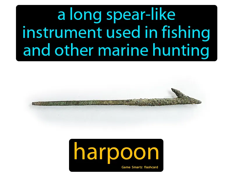 Harpoon Definition Harpoon Definition