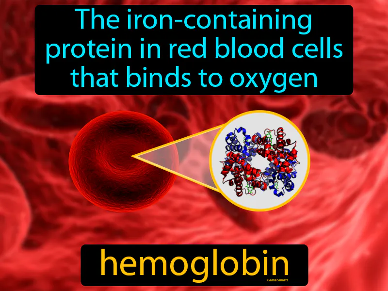 Hemoglobin Definition Hemoglobin Definition