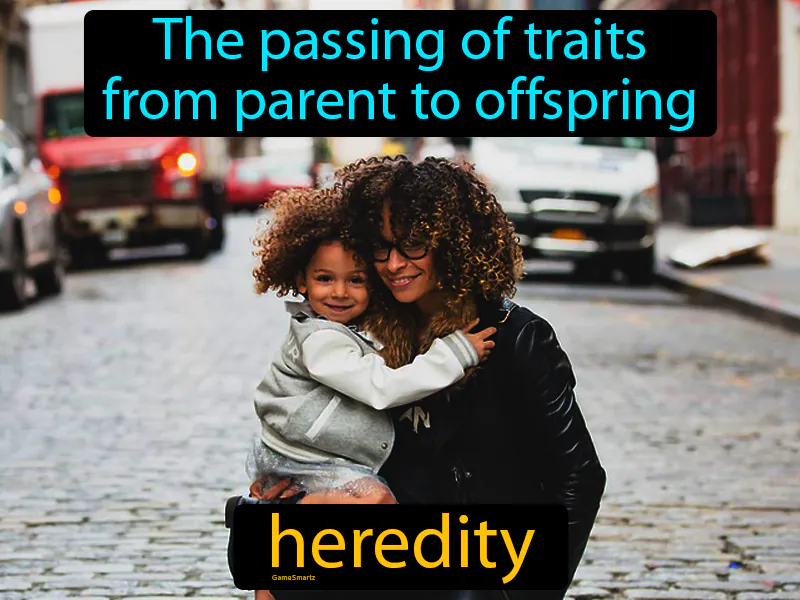 Heredity Definition Heredity Definition