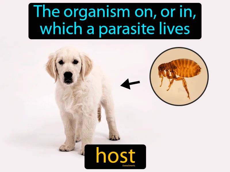 Host Definition Host Definition