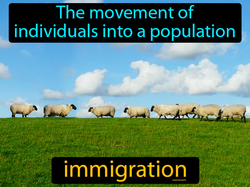 Immigration Definition Immigration Definition