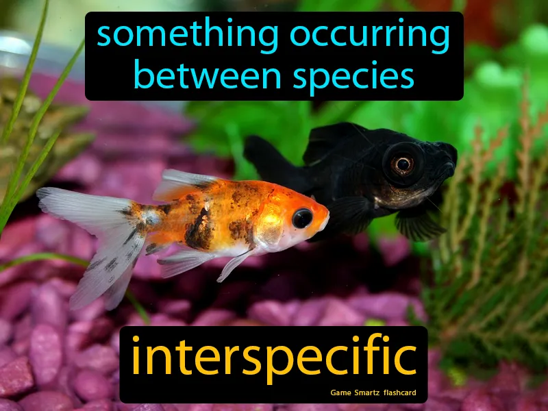 Interspecific Definition Interspecific Definition