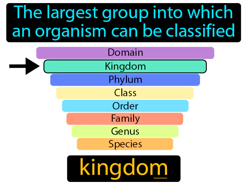 Kingdom Definition Kingdom Definition
