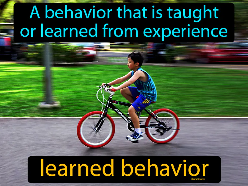 Learned Behavior Definition Learned Behavior Definition