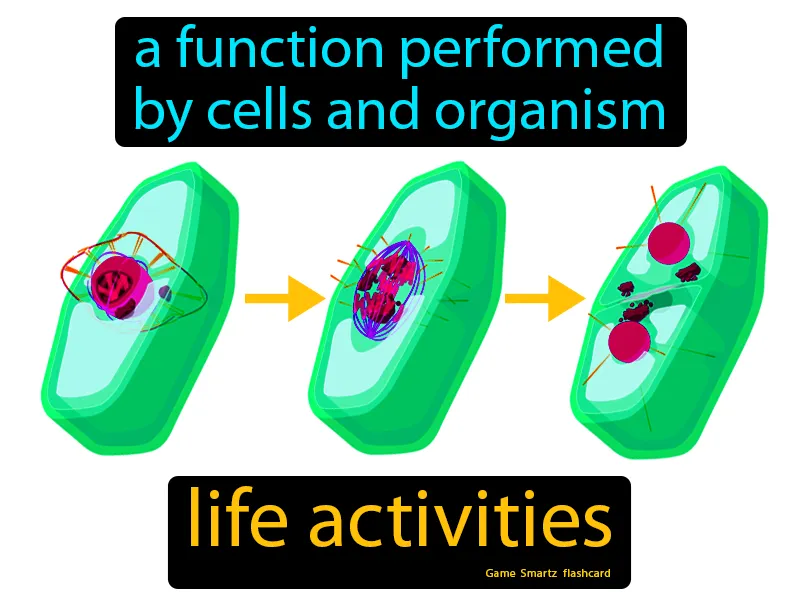 Life Activities Definition