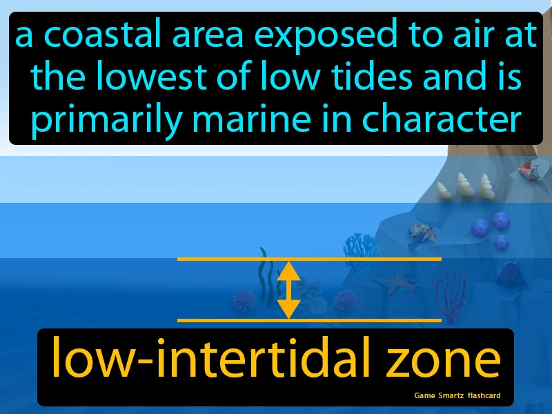 Low-intertidal Zone Definition Low-intertidal Zone Definition