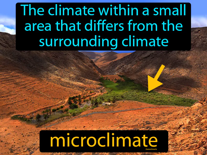 Microclimate Definition Microclimate Definition