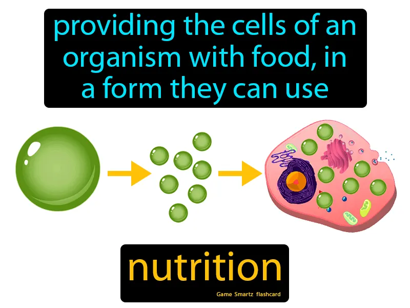 Nutrition Definition