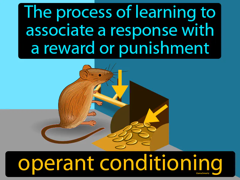 Operant Conditioning Definition Operant Conditioning Definition