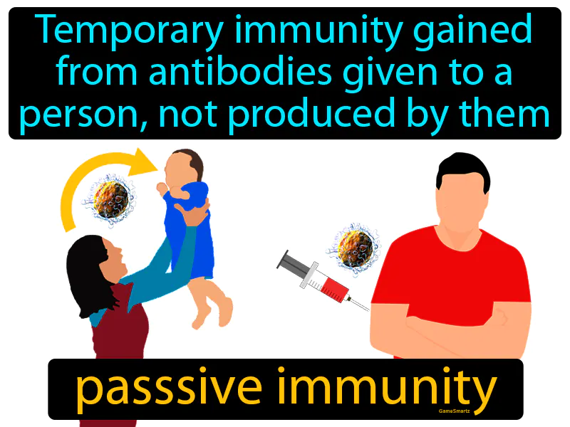 Passive Immunity Definition Passive Immunity Definition