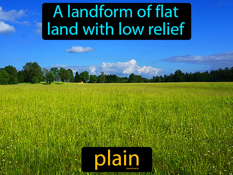 Plain Definition