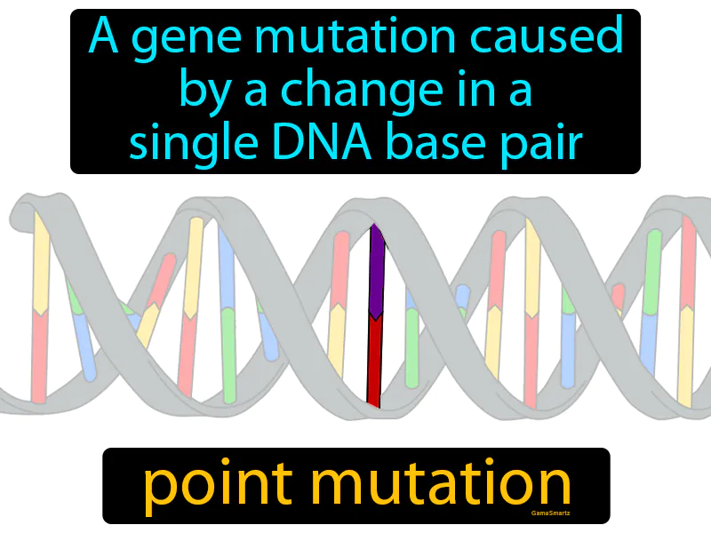 Point Mutation Definition Point Mutation Definition