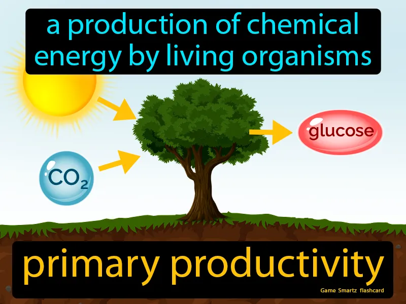 Primary Productivity Definition Primary Productivity Definition