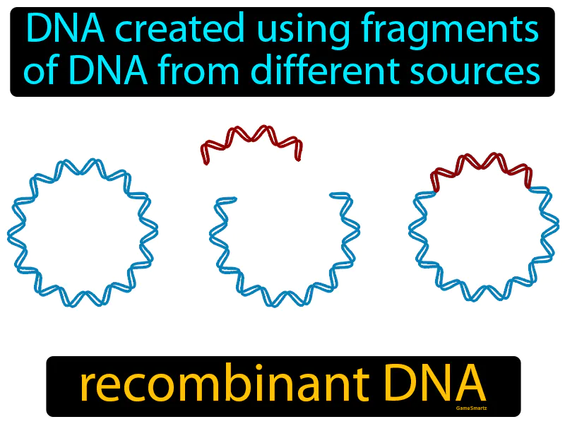 Recombinant DNA Definition Recombinant DNA Definition
