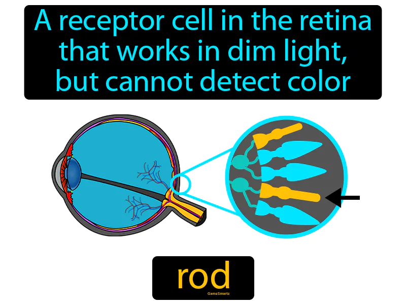 Rod Definition Rod Definition