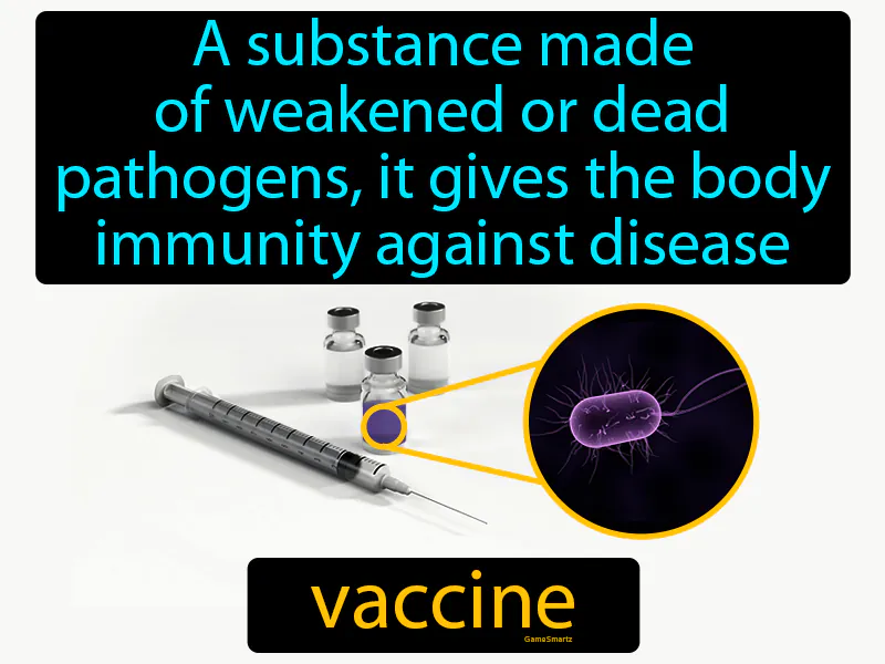 Vaccine Definition Vaccine Definition