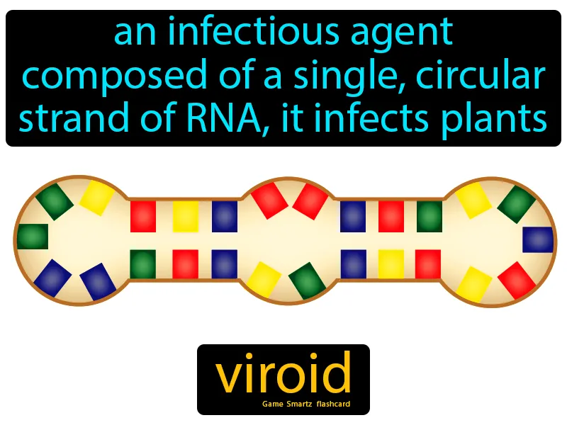 Viroid Definition Viroid Definition