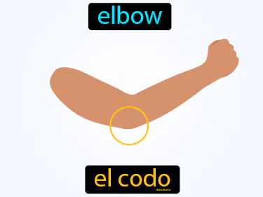 elbow