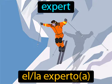 expert