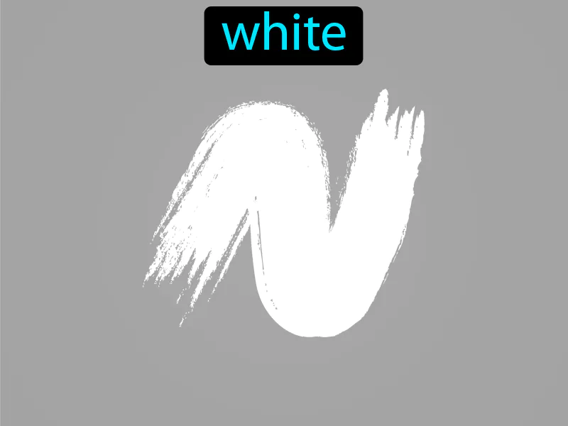 Blanco Definition Blanco Definition