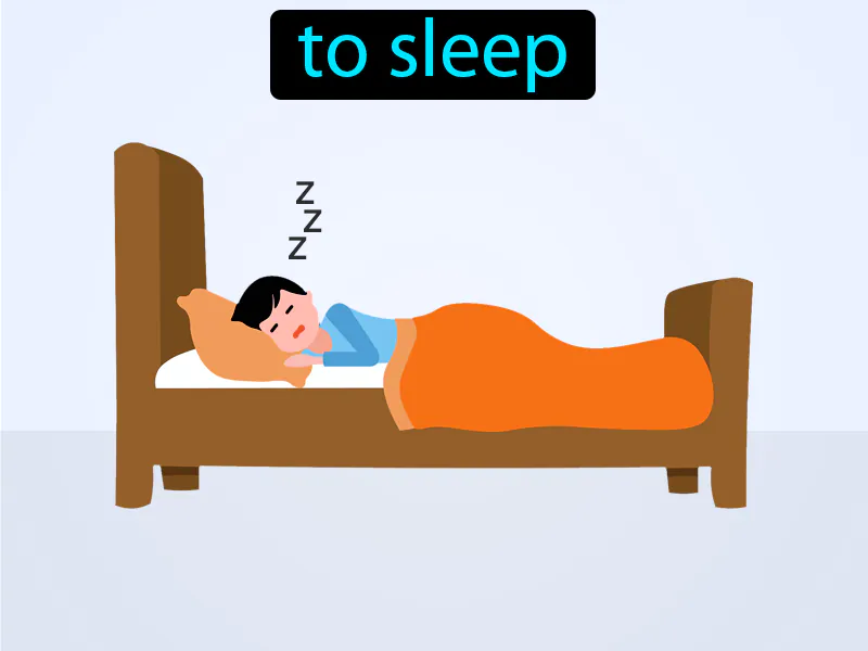 Dormir Definition Dormir Definition