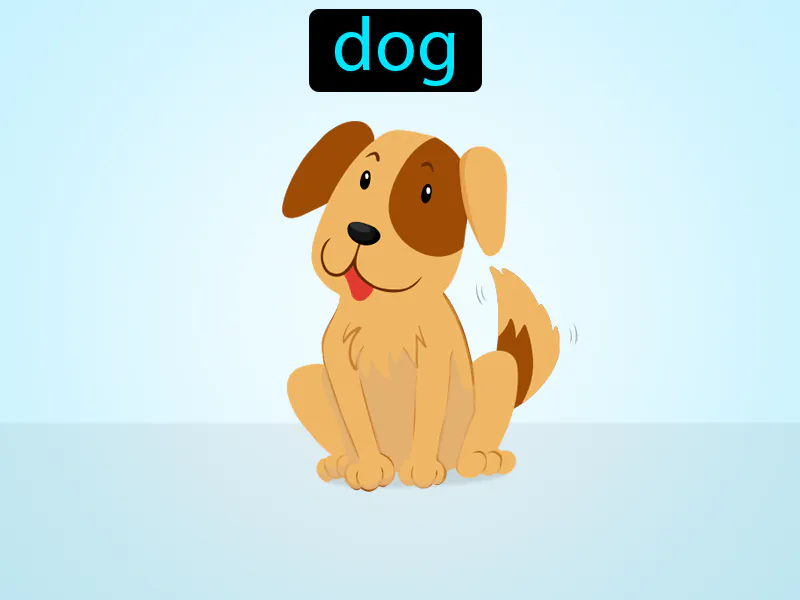 El Perro Definition