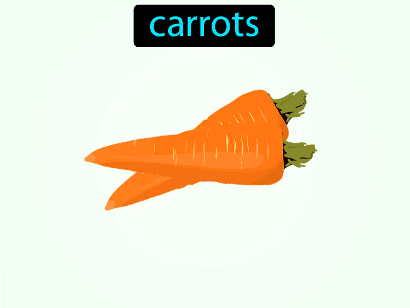 Las Zanahorias Definition Las Zanahorias Definition