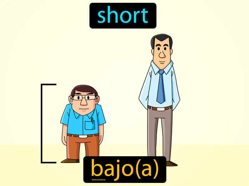 Bajo Definition Bajo Definition