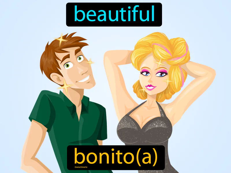 Bonito Definition Bonito Definition