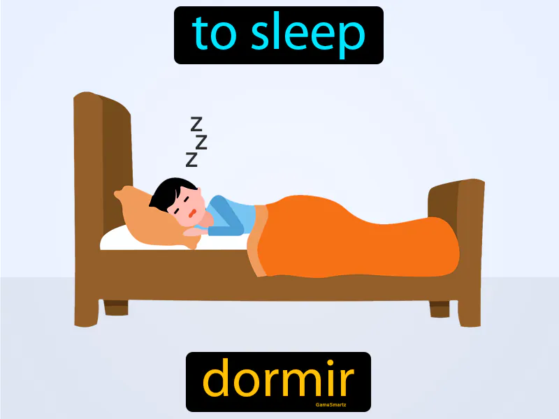 Dormir Definition Dormir Definition