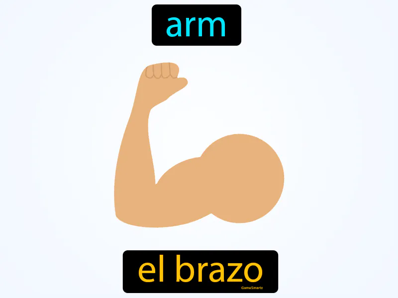 El Brazo Definition El Brazo Definition