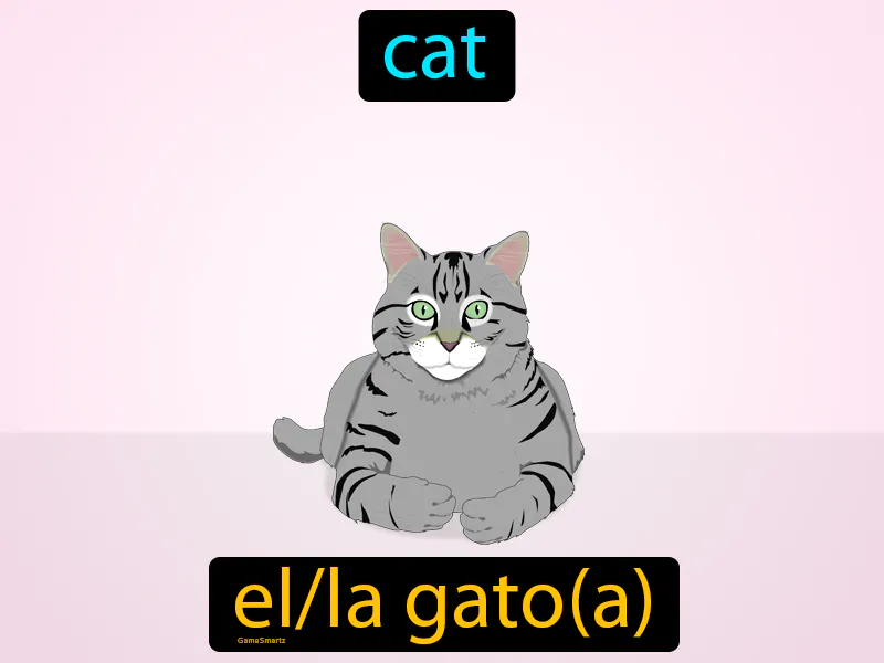 El Gato Definition El Gato Definition