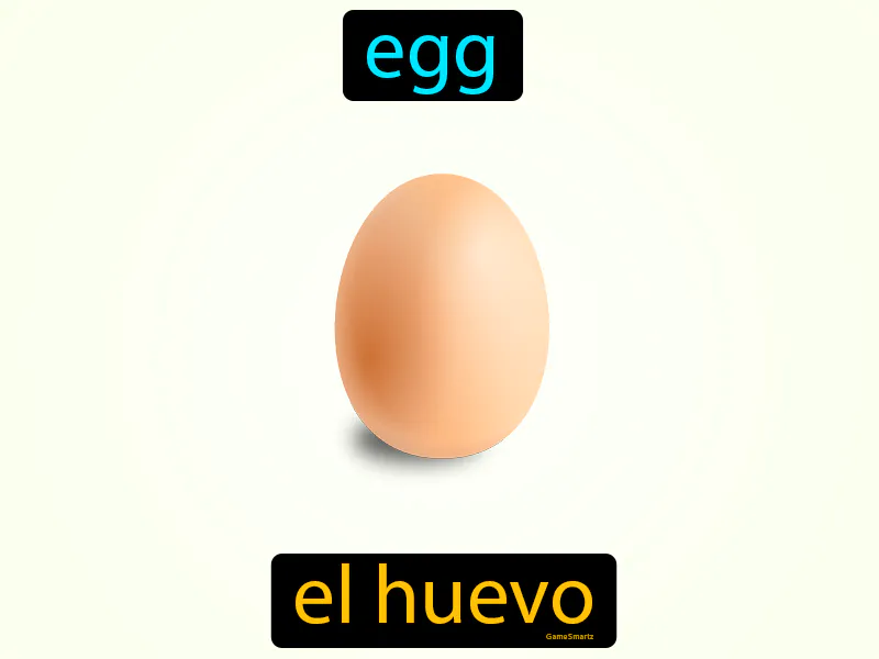 El Huevo Definition El Huevo Definition
