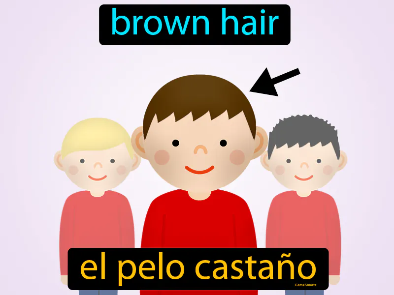 El Pelo Castano Definition