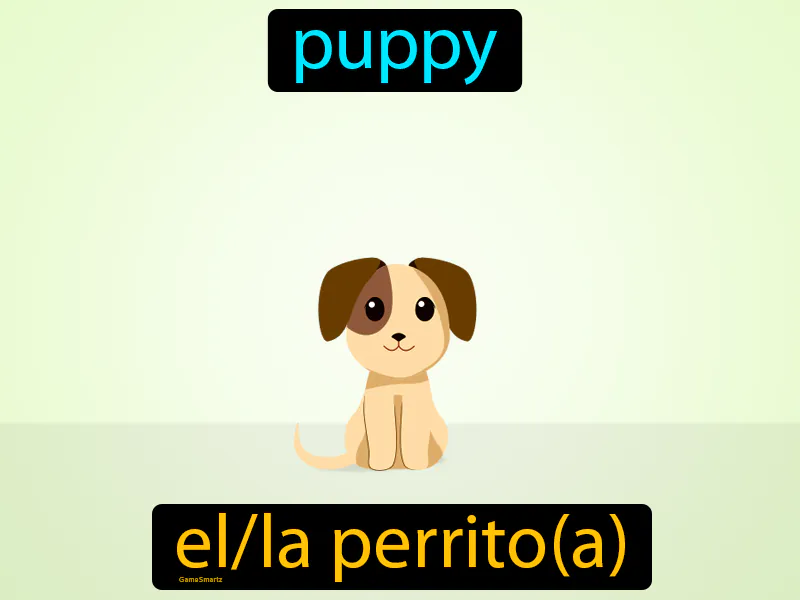 El Perrito Definition
