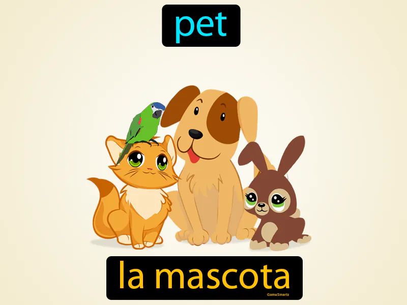 La Mascota Definition La Mascota Definition